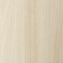 White Acacia