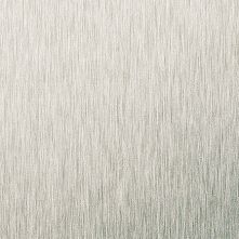 Brushed Titanium