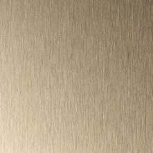 Brushed Copper