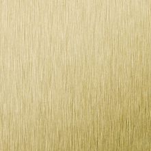 Brushed Brass