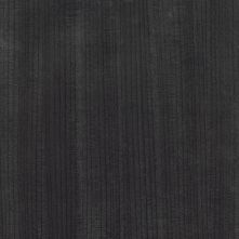 Black Tulip