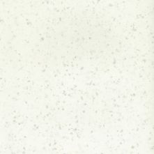 Snow Flake