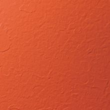Paprika