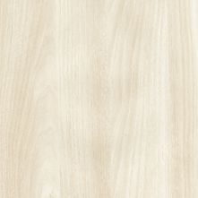 White Acacia