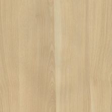 Mora Birch