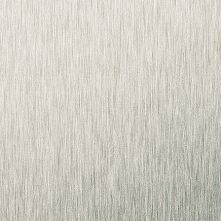 Brushed Titanium
