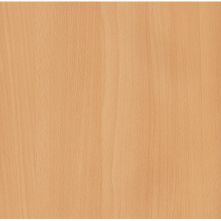 Global Beech