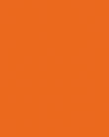 0336-01 (глянец) Clementine