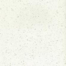 Snow flake