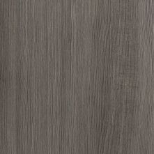 Silver Pine
