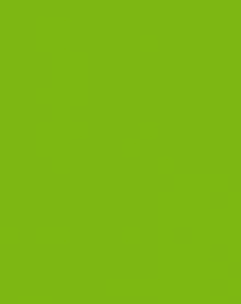 9429-01 (глянец) Parrot